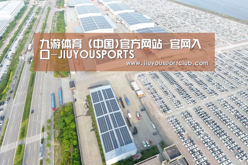 案例展示三