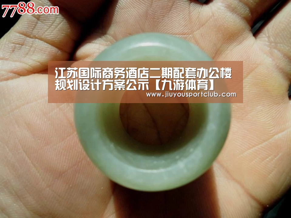 江苏国际商务酒店二期配套办公楼规划设计方案公示【九游体育】(图3) 九游体育