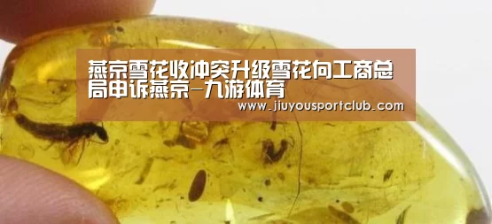 燕京雪花收冲突升级雪花向工商总局申诉燕京-九游体育(图1) 九游体育官网